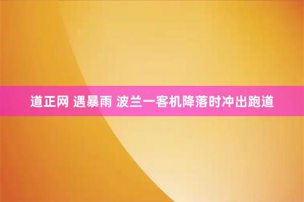 道正网 遇暴雨 波兰一客机降落时冲出跑道