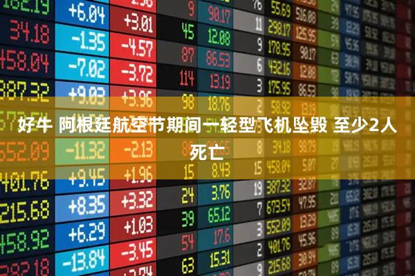 好牛 阿根廷航空节期间一轻型飞机坠毁 至少2人死亡
