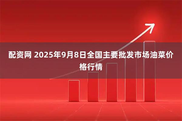 配资网 2025年9月8日全国主要批发市场油菜价格行情