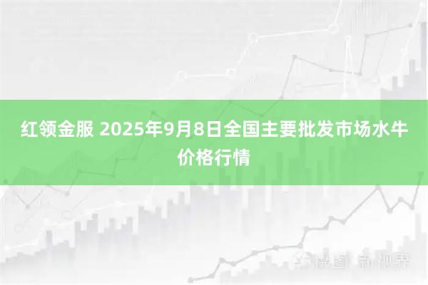 红领金服 2025年9月8日全国主要批发市场水牛价格行情