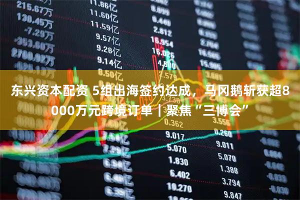 东兴资本配资 5组出海签约达成，马冈鹅斩获超8000万元跨境订单｜聚焦“三博会”