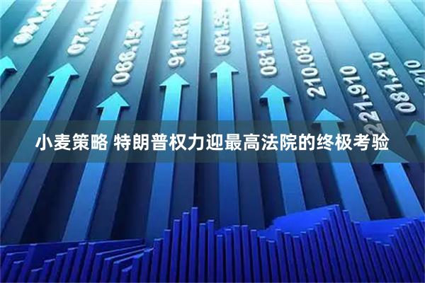 小麦策略 特朗普权力迎最高法院的终极考验