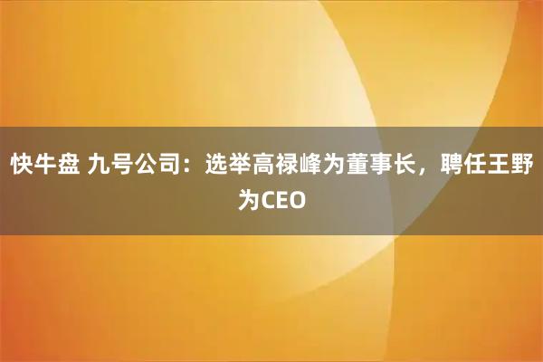 快牛盘 九号公司：选举高禄峰为董事长，聘任王野为CEO