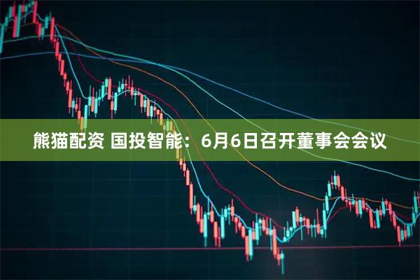 熊猫配资 国投智能：6月6日召开董事会会议