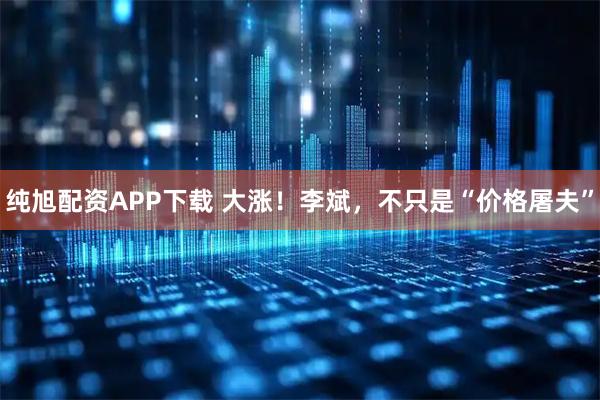 纯旭配资APP下载 大涨！李斌，不只是“价格屠夫”